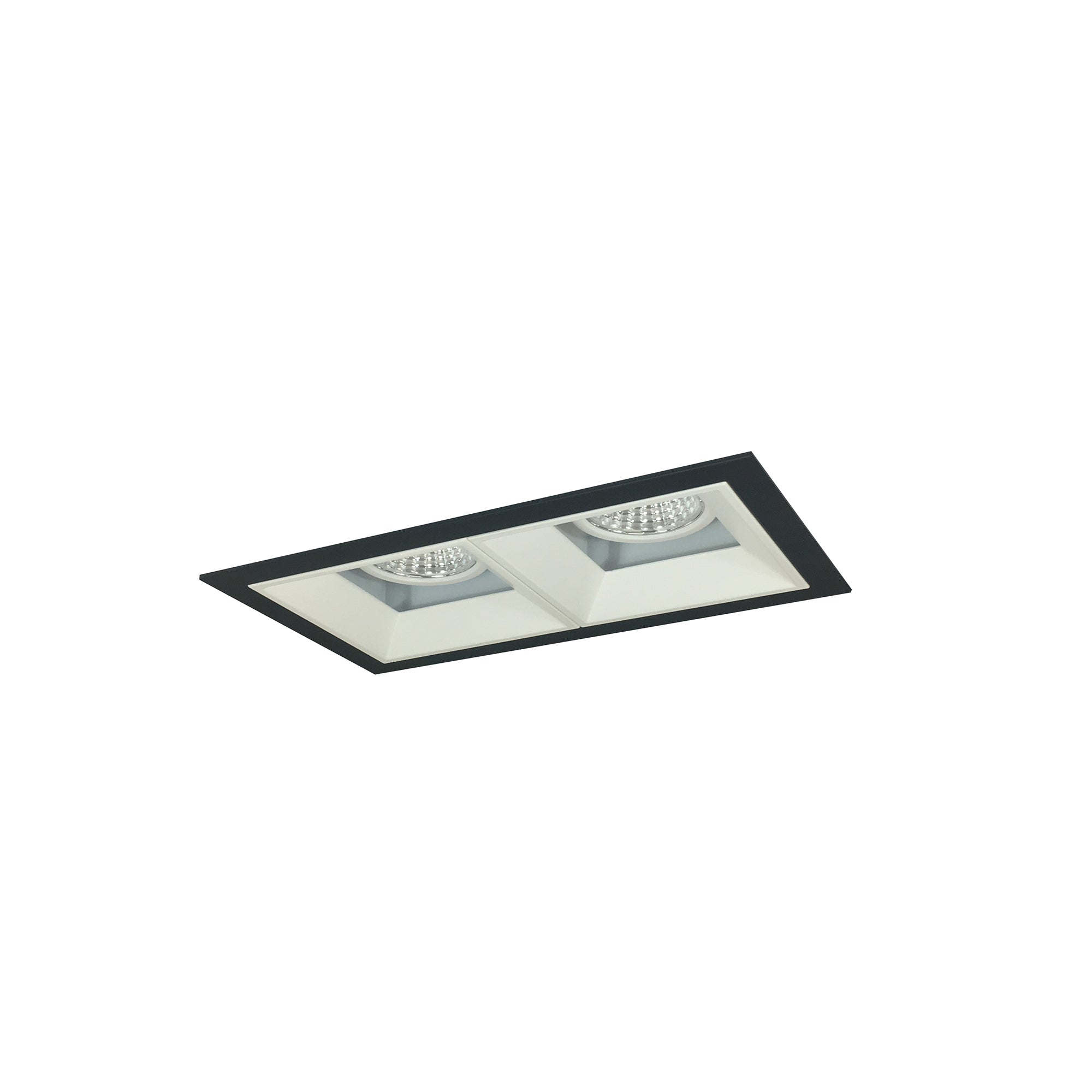 Nora Lighting NMIOT-12-B-FF-50X-10-MPW - Recessed - Iolite MLS 2-Head Trim Kit, Black Flange, 5000K, 1000lm, MPW Fixed Downlt. Trims
