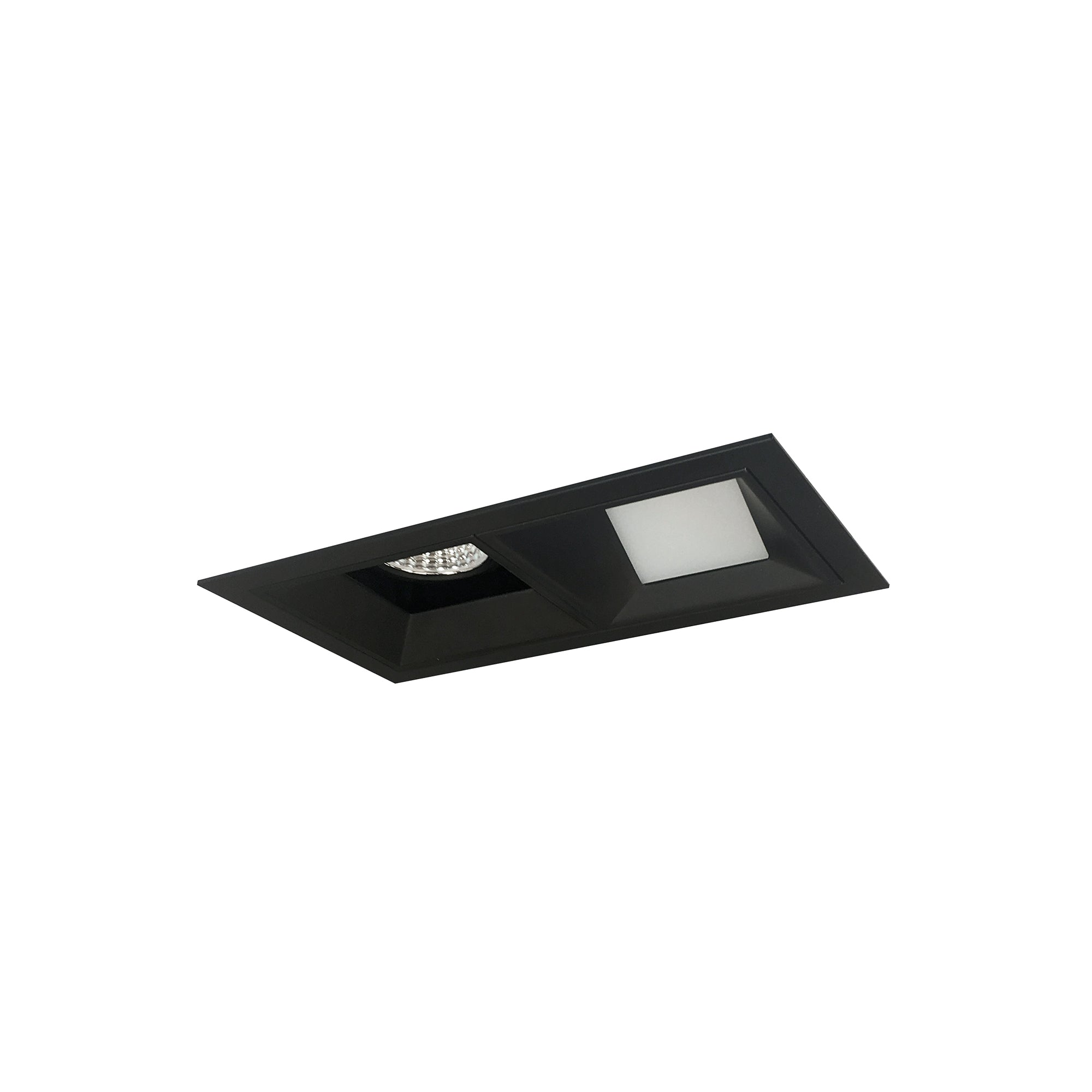 Nora Lighting NMIOT-12-B-FW-40X-10-B - Recessed - Iolite MLS 2-Head Trim Kit, Black Flange, 4000K, 1000lm, Black Fixed Downlt./Wall Wash Trims