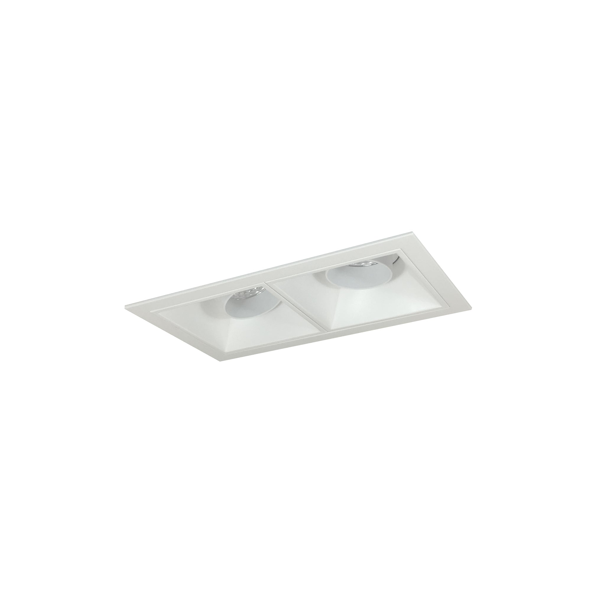 Nora Lighting NMIOT-12-MPW-AA-27X-10-MPW - Recessed - Iolite MLS 2-Head Trim Kit, MPW Flange, 2700K, 1000lm, MPW Adj. Snoot Trims
