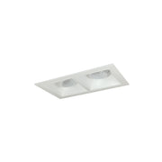 Nora Lighting NMIOT-12-MPW-AA-50X-10-MPW - Recessed - Iolite MLS 2-Head Trim Kit, MPW Flange, 5000K, 1000lm, MPW Adj. Snoot Trims