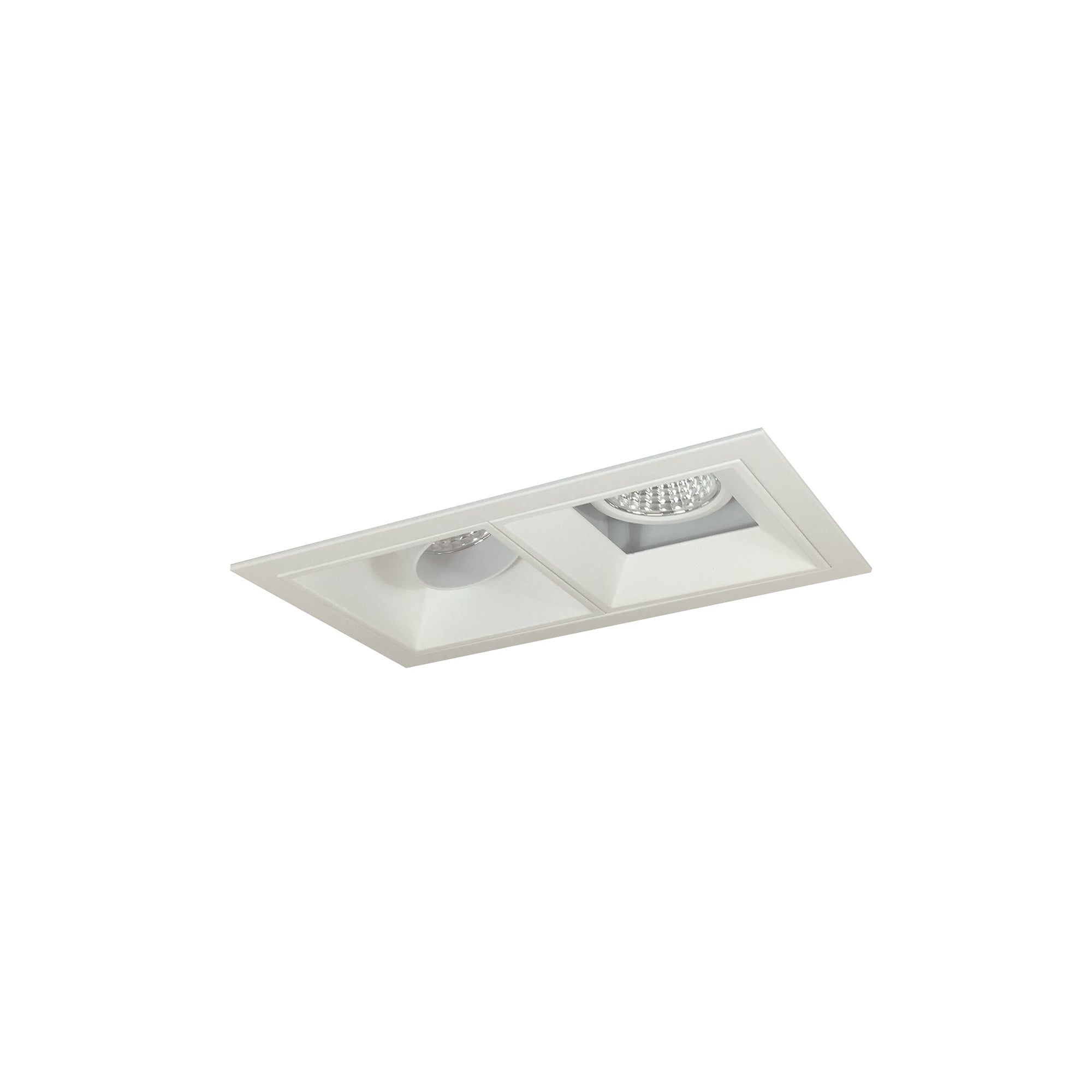 Nora Lighting NMIOT-12-MPW-AF-30X-10-MPW - Recessed - Iolite MLS 2-Head Trim Kit, MPW Flange, 3000K, 1000lm, MPW Adj. Snoot/Fixed Downlt. Trims