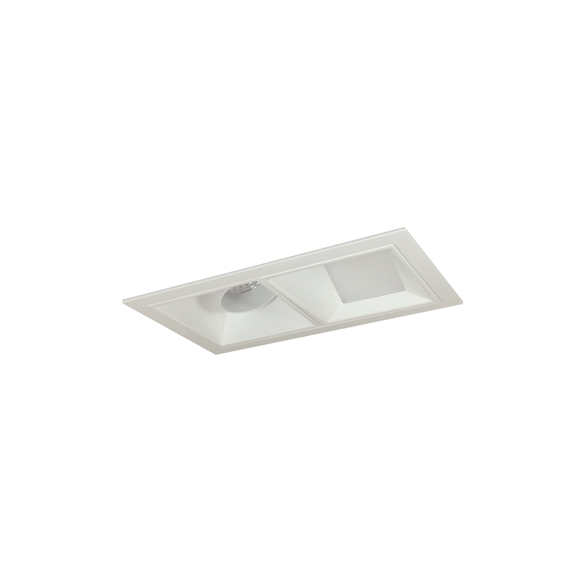 Nora Lighting NMIOT-12-MPW-AW-50X-10-MPW - Recessed - Iolite MLS 2-Head Trim Kit, MPW Flange, 5000K, 1000lm, MPW Adj. Snoot/Wall Wash Trims