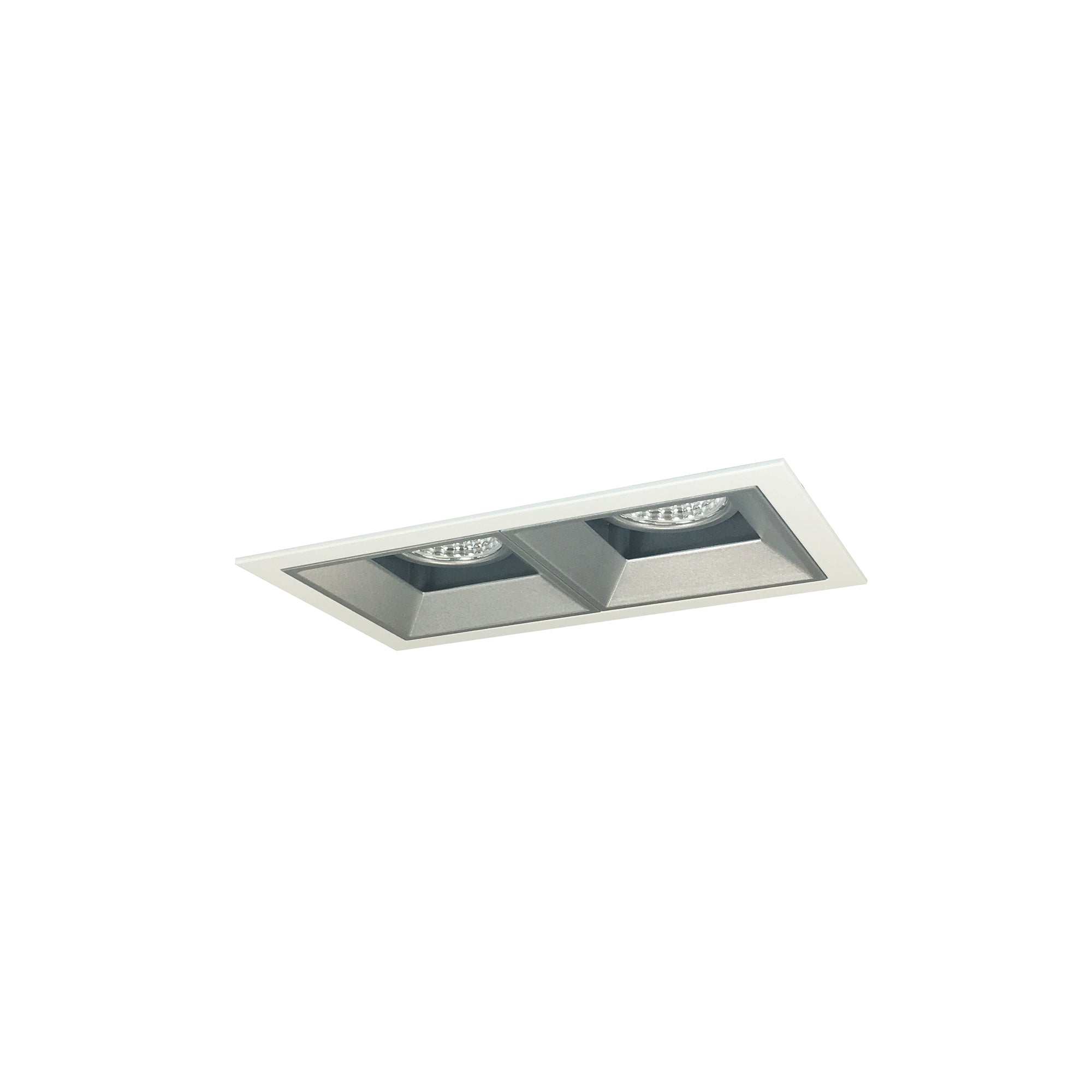Nora Lighting NMIOT-12-MPW-FF-CDX-10-HZ - Recessed - Iolite MLS 2-Head Trim Kit, MPW Flange, Comfort Dim, 800lm, Haze Fixed Downlt. Trims
