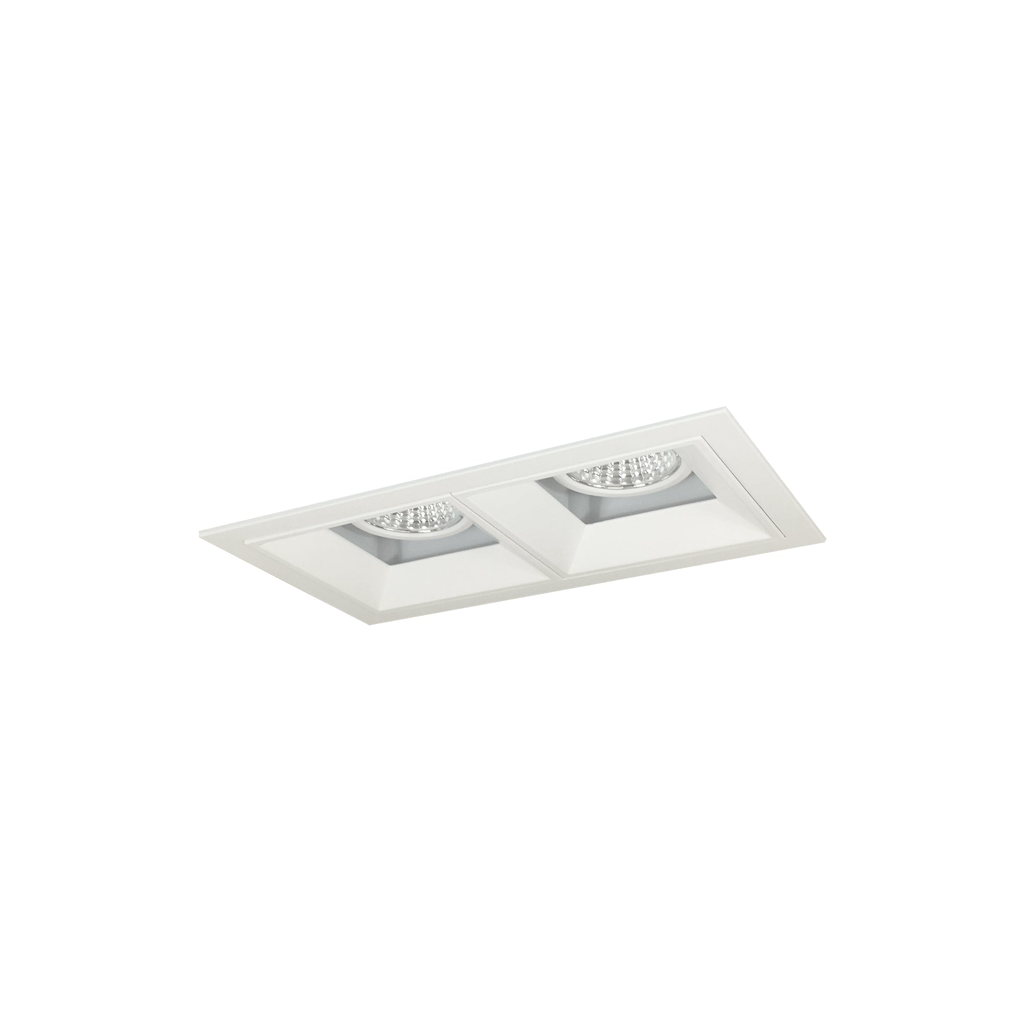 Nora Lighting NMIOT-12-MPW-FF-35X-10-MPW - Recessed - Iolite MLS 2-Head Trim Kit, MPW Flange, 3500K, 1000lm, MPW Fixed Downlt. Trims
