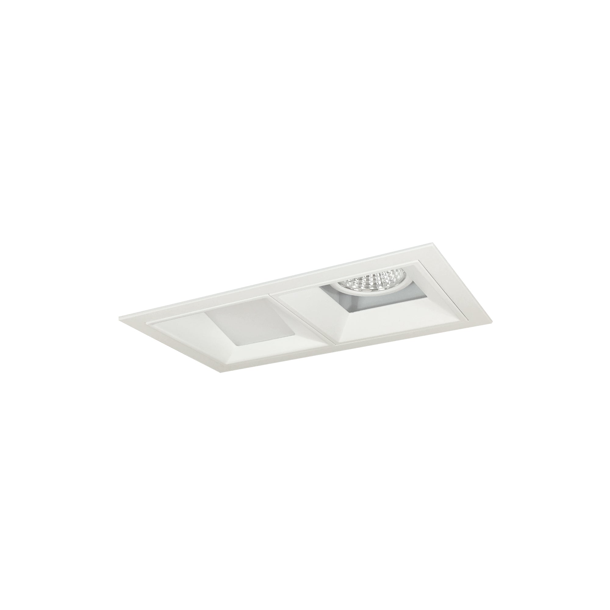 Nora Lighting NMIOT-12-MPW-FW-30X-10-MPW - Recessed - Iolite MLS 2-Head Trim Kit, MPW Flange, 3000K, 1000lm, MPW Fixed Downlt./Wall Wash Trims