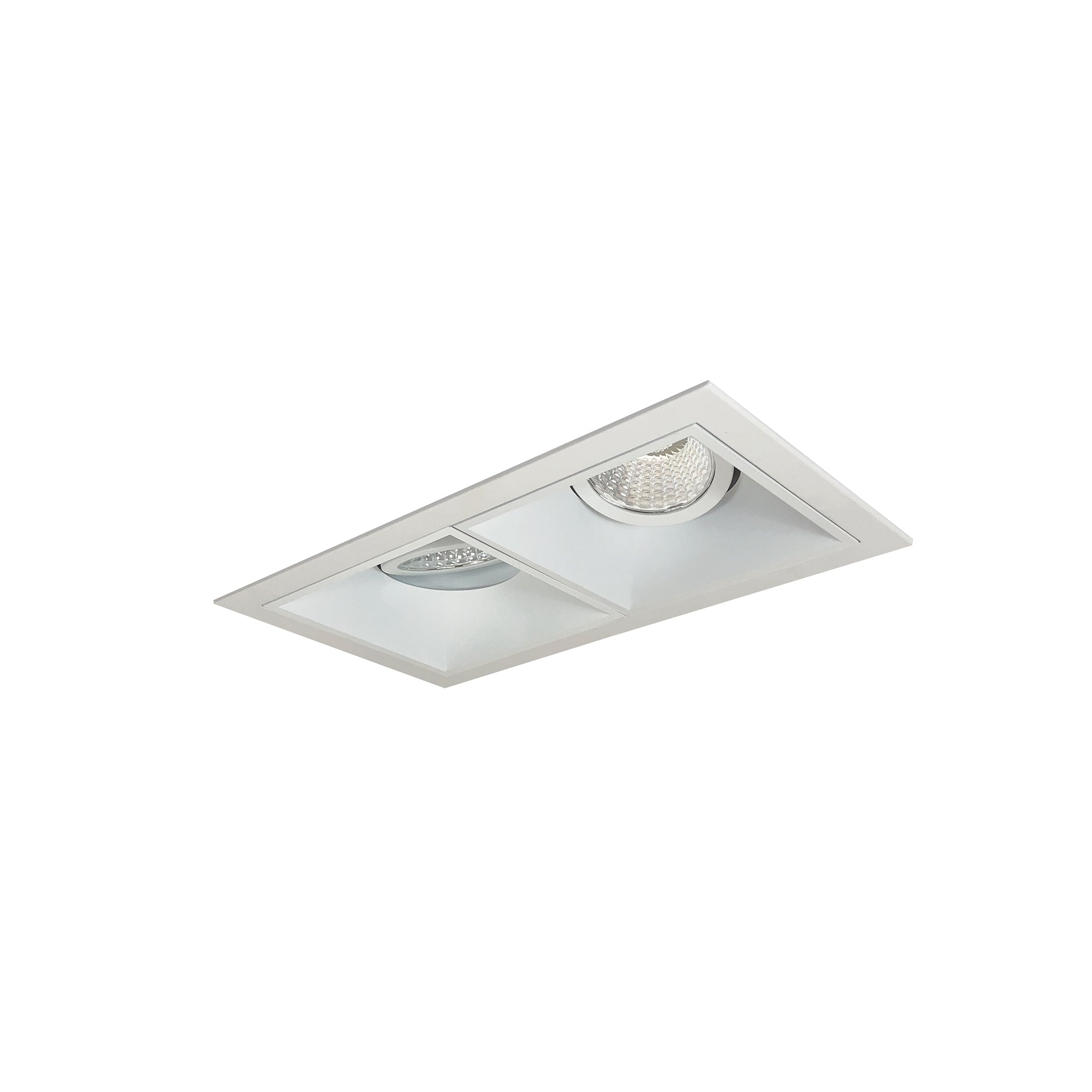 Nora Lighting NMIOT-12-MPW-GG-27X-10-MPW - Recessed - Iolite MLS 2-Head Trim Set, MPW Flange, 2700K, 1000lm, MPW Adj. Gimbal Trims