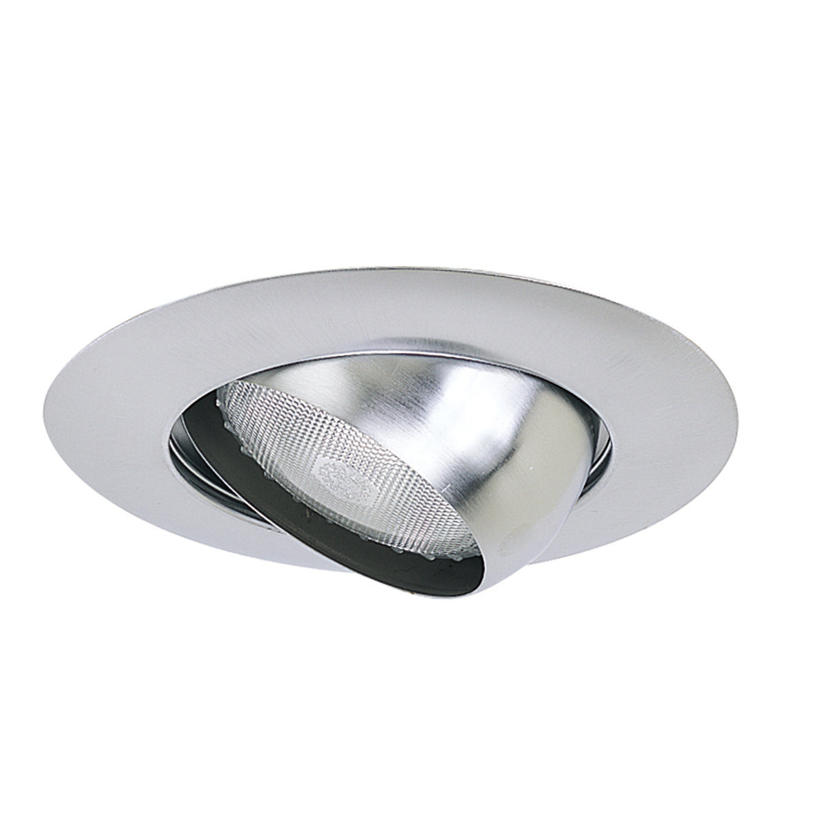 Nora Lighting NT-28N - Recessed - 6 Inch BR/PAR30 Eyeball w/ Metal Trim, Natural Metal